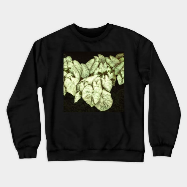 Caladium Leaves Crewneck Sweatshirt by art64